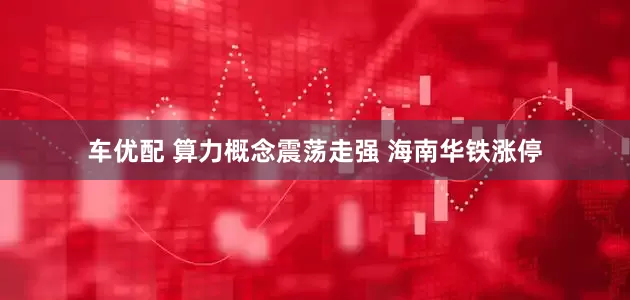 车优配 算力概念震荡走强 海南华铁涨停