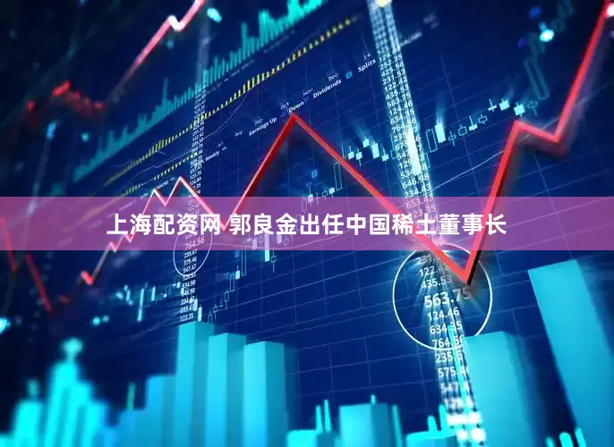 上海配资网 郭良金出任中国稀土董事长