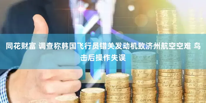 同花财富 调查称韩国飞行员错关发动机致济州航空空难 鸟击后操作失误