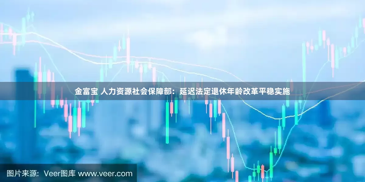 金富宝 人力资源社会保障部：延迟法定退休年龄改革平稳实施