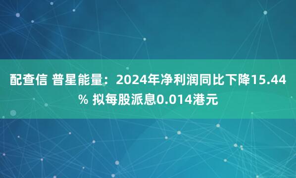 配查信 普星能量：2024年净利润同比下降15.44% 拟每股派息0.014港元