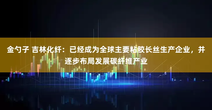 金勺子 吉林化纤：已经成为全球主要粘胶长丝生产企业，并逐步布局发展碳纤维产业